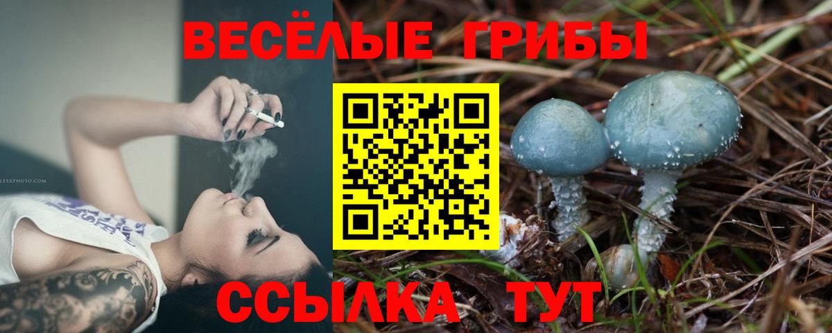 Галлюциногенные грибы Psilocybine cubensis Каменск-Шахтинский