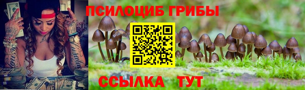 ТГК Каменск-Шахтинский